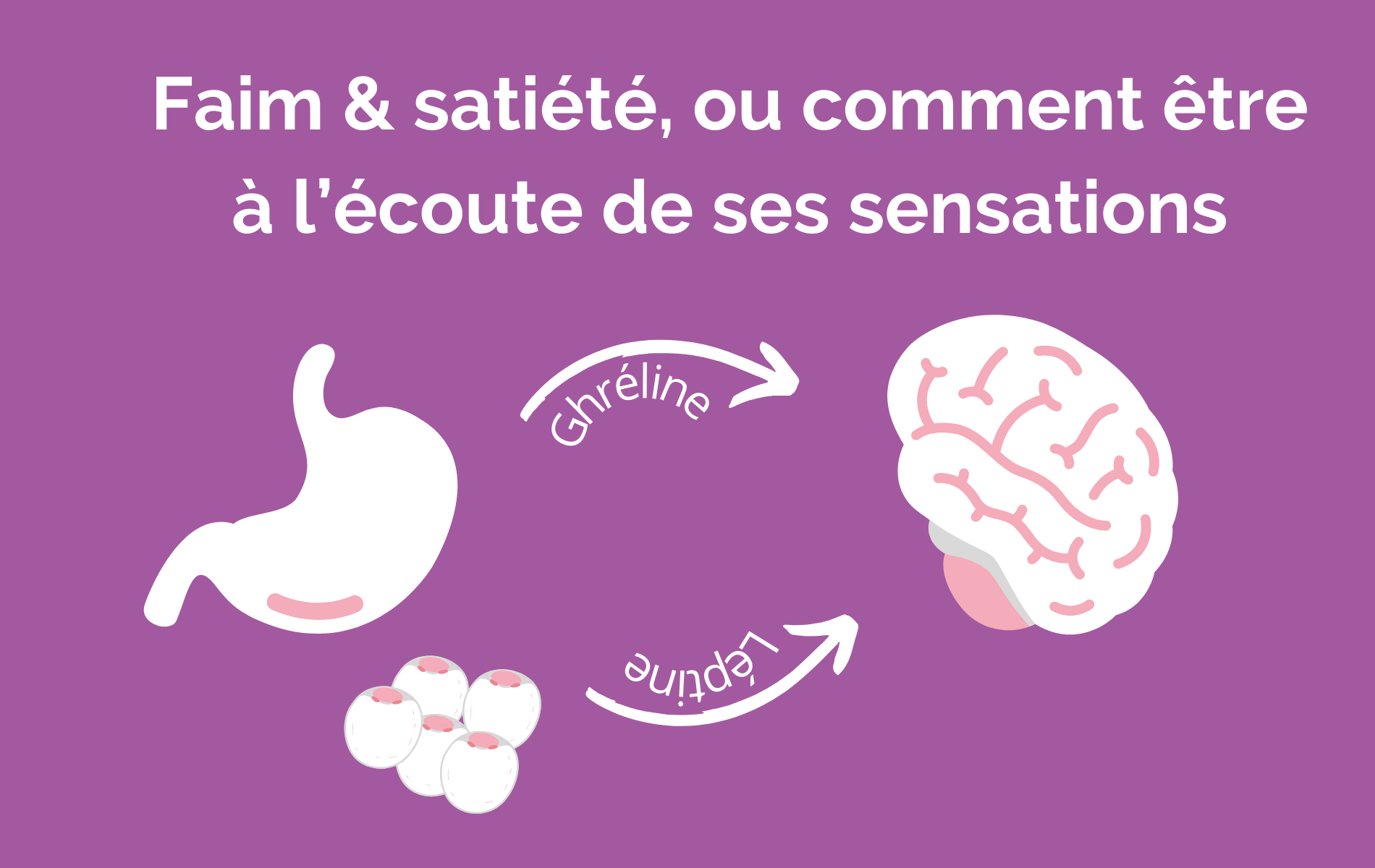 FAIM ET SATIETE