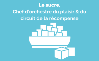 Le sucre, chef d’orchestre du plaisir & de la récompense