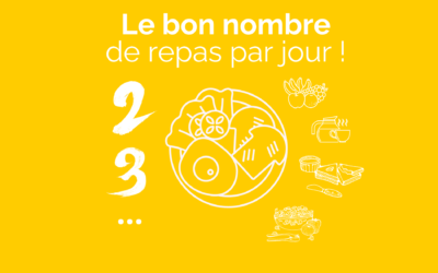 Le bon nombre de repas par jour ?